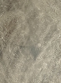 B5929632-D75E-47A2-8EDF-162E620B8740.jpeg