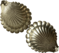 IMG_0396.png