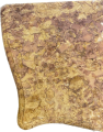 IMG_5851.png