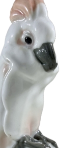 Papuga mała, Miśnia XIX/XX w.