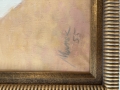 IMG_0517.jpeg